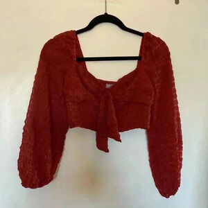 Urban Outfitters Long Sleeve Crop Top